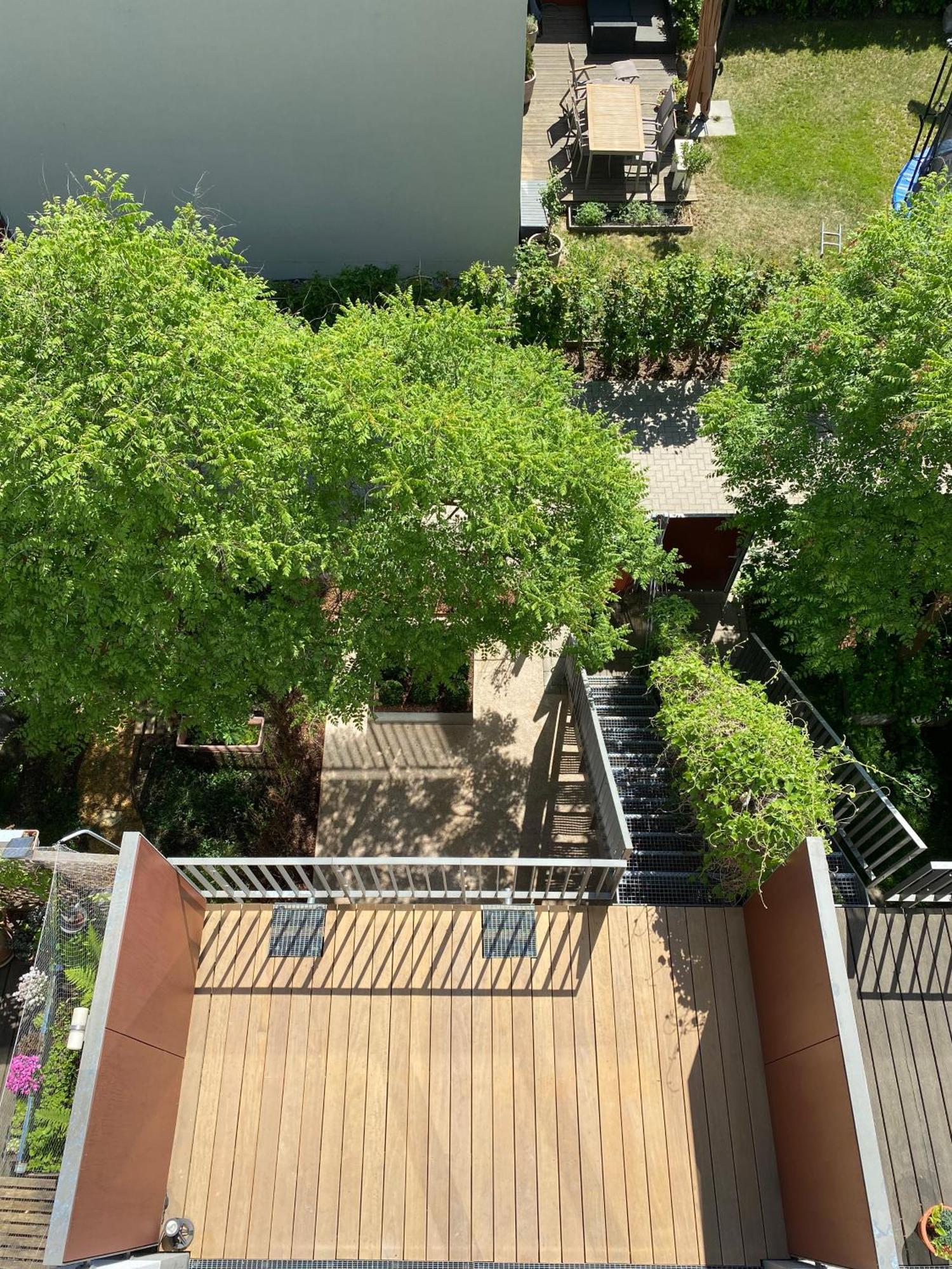 Townhouse Alaunpark Villa Drezda Kültér fotó
